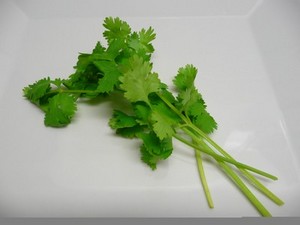 Koriandr