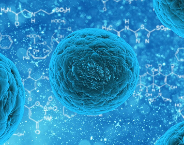Syndrom Patau