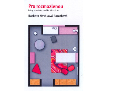 Pokoj pro dívku 12-16 let