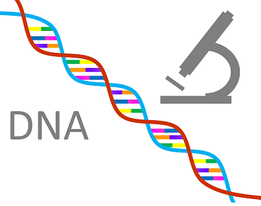 Základní genetická terminologie