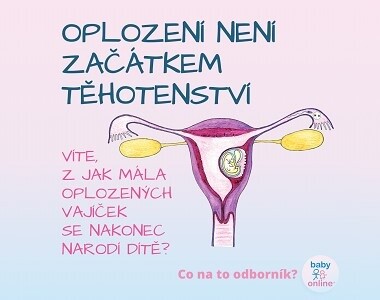 Oplození není začátkem těhotenství