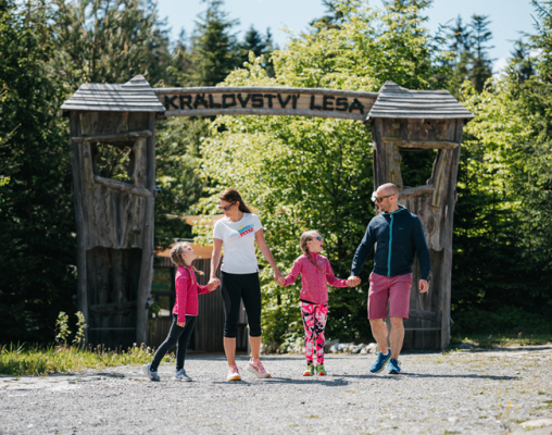 Jihočeský kraj, Lipno nad Vltavou: Království lesa