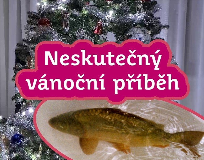 Neskutečný vánoční příběh