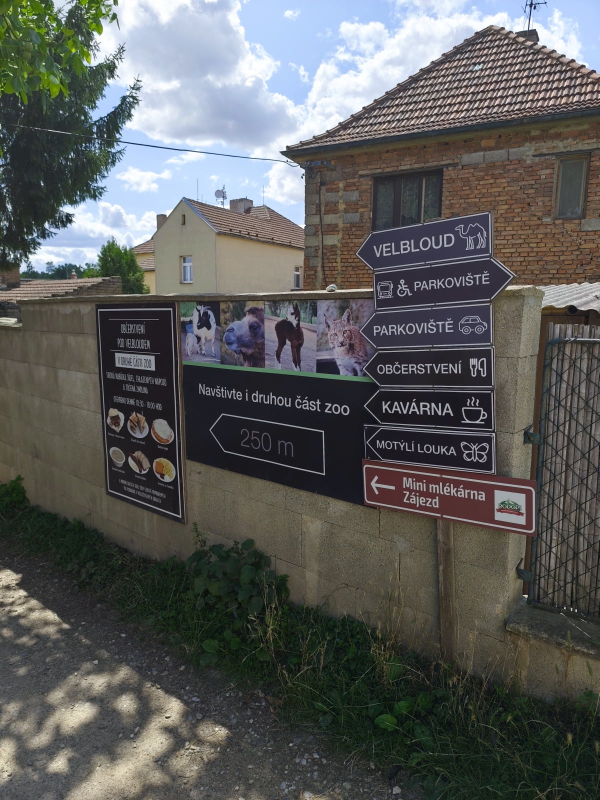 Důležitý rozcestník pokud začínáte v části pro chameleony. Schovejte si hlavně vstupenky.