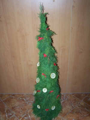 123652