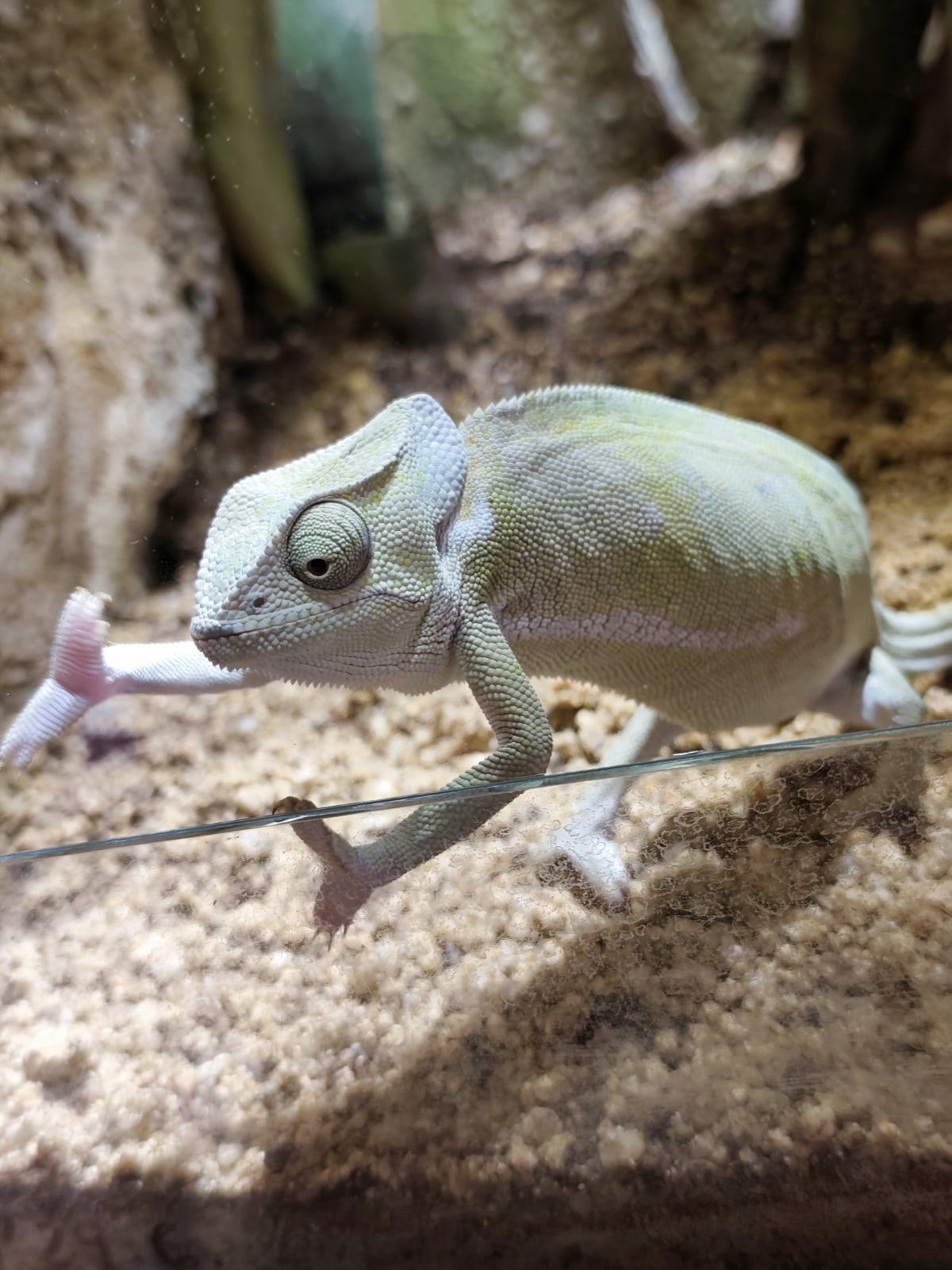 Zoo Zájezd