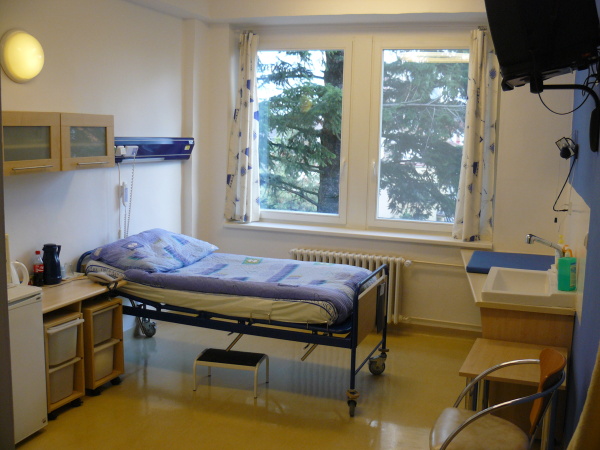 Orlickoústecká nemocnice, a.s. - Gynekologické a porodnické odděleníNadstandardní pokojNadstandardní pokoj je navíc vybaven televizí, ledničkou, mikrovlnnou troubou, vlastním sociálním zařízením a dalším nadstandardem. Maminky si tak mohou vychutnávat i ve společnosti tatínka v naprostém soukromí a veškerém komfortu první společné chvilky rodičovství.