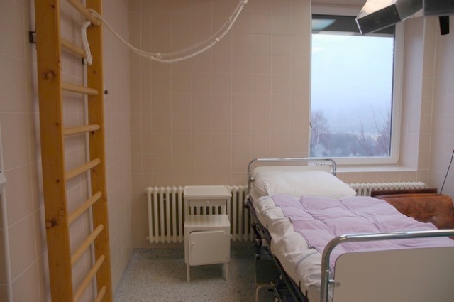 Nemocnice Boskovice, s.r.o.Nadstandardní porodní sálNadstandardní porodní sál s ribstolemi, liánou a prostornou vanou.