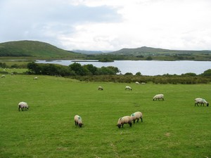 Irsko