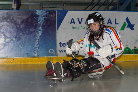 Sledge hokej