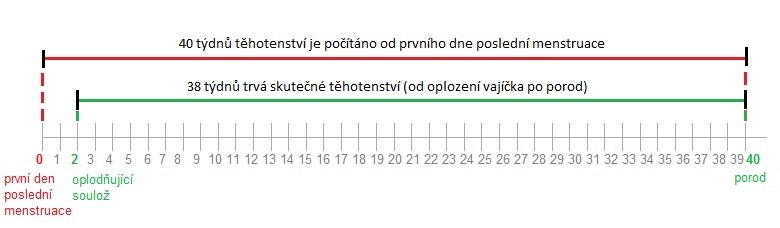 Termín porodu kalklulačka